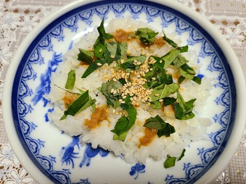 爽やか！ 山椒の葉 のせ お味噌 ご飯